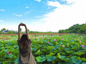 Special - Takada Cultural Day Tour w/ Lunch