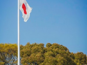 1-Day Hiroshima World Heritage Walking Tour