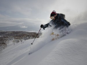 Nikko Style Niseko Hanazono