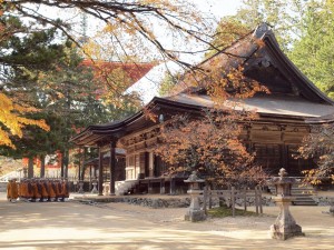 World Heritage Mt. Koya 2-Day Tour (Without Guide)