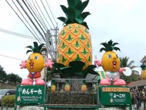 Okinawa Main Island West Coast Bus Tour