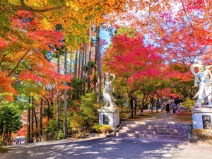 Sights of Fukuoka - 4 Days