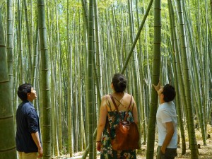 Fushimi Inari Hidden Hiking Tour