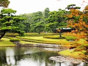 Wonderful Japan - 11 Days