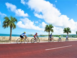 Okinawa Cycling Tours - South West Coast Tour