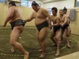 Tokyo Sumo Morning Practice Tour
