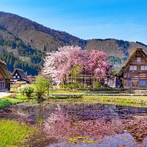 Shirakawa-go --- Takayama