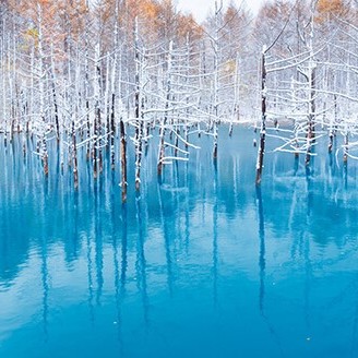 Biei Blue Pond, Shirahige Falls and Kamikawa Daisetsu Sake Brewery